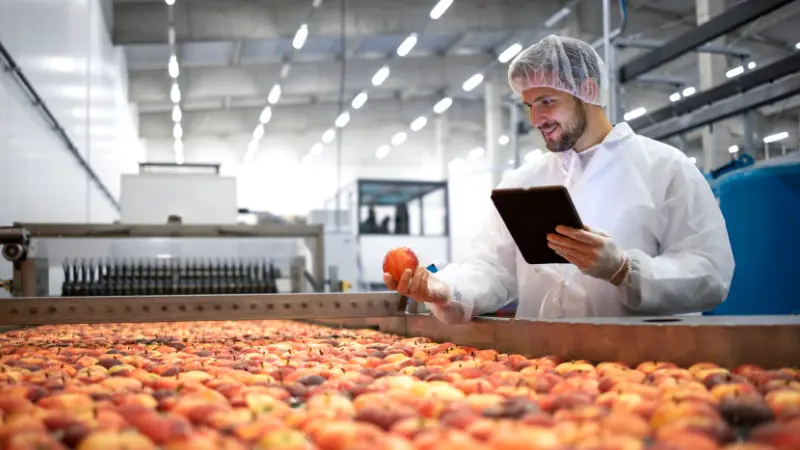 Desenvolvimento de Produto